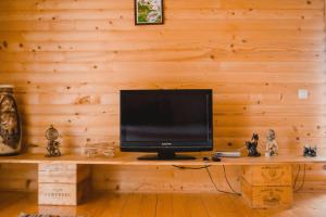 - une télévision assise sur une table en bois dans l'établissement Kryvyi brid, à Yaremtche