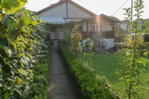 Κήπος έξω από το Apartmani Teodor