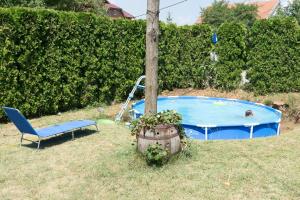 Πισίνα στο ή κοντά στο Apartmani Teodor