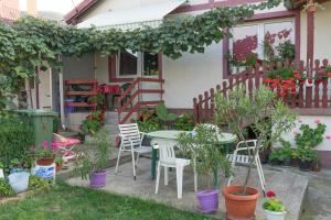 Κήπος έξω από το Apartmani Teodor