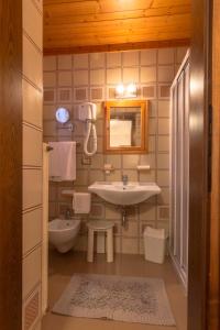 a bathroom with a sink and a toilet at Digonera Historic Hotel B&B in Rocca Pietore