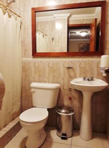 a bathroom with a toilet and a sink and a mirror at Posada Todos Santos in Cuenca