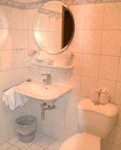 a bathroom with a toilet and a sink and a mirror at Hotel Wiesengrund in Lindenfels