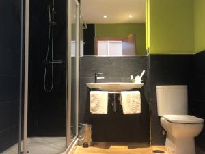 a bathroom with a shower and a sink and a toilet at NRuta Ponferrada in Bembibre