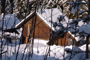 a wooden cabin in the snow with snow covered trees at Verditzhütte in Verditz