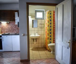 a small bathroom with a sink and a toilet at Eszti Mama Vendégháza in Cserkeszőlő