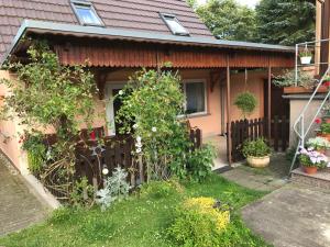 a house with a fence and flowers in the yard at Peeneurlaub in Lassan