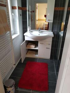 a bathroom with a sink and a red rug at Garden Apartment Donau-City (P&R) in Vienna +26 photos