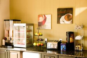 kuchnia z blatem i lodówką w obiekcie Saxony Motel w mieście Chatham