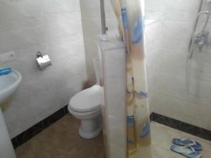 a small bathroom with a toilet and a sink at Guest House Edem in Tbilisi City +23 photos