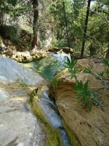 a stream of water next to some rocks and trees at Sultan Camp in Faralya