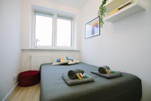 Fotografie z fotogalerie ubytování Warsaw Concierge Green Muranów ve Varšavě