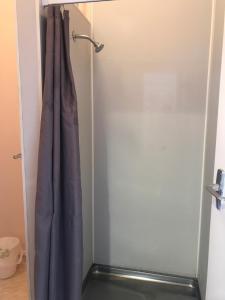 a shower door with a shower curtain in a bathroom at Criterion Club Hotel in Alexandra