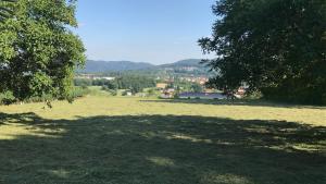 a large field with a large shadow of a tree at Casa Parentela in Ligornetto