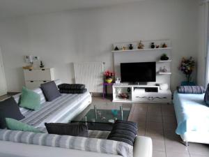 Una sala de estar con un sofá y un televisor. en Appartement F3 avec Parking privée, en Saint-Priest