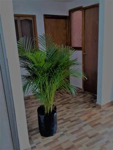 Fotografie z fotogalerie ubytování Hostal Casa de Barajas v destinaci Cartagena
