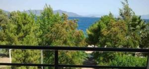 Fotografie z fotogalerie ubytování ΑΚΡΟΓΙΑΛΙ v destinaci Néos Pírgos + 18 fotografií