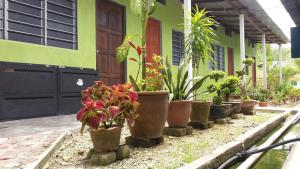 Zahrada ubytování Tony’s Guesthouse at Teluk Bahang + 43 fotografií