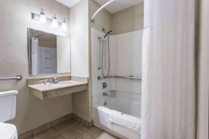 a bathroom with a shower and a sink at Super 8 by Wyndham Dubuque in Dubuque
