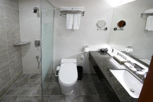 a bathroom with a toilet and a sink at Commodore Hotel Gyeongju in Gyeongju