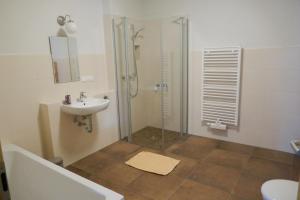 a bathroom with a shower and a sink at Ferienhof Radlerslust in Großkoschen
