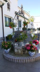 Vonkajšia záhrada v ubytovaní Hotel Cortijo