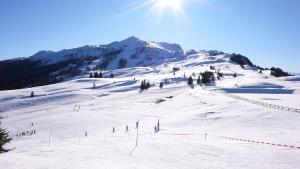 a group of people skiing down a snow covered slope at Ferienwohnung Blick auf die Berge in Pidingerau