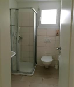 a bathroom with a shower and a toilet and a window at Charming Studio near Rotsee Lucerne Kitchen/WiFi/Wasching machine in Luzern