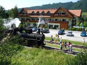 Příroda nedaleko hotelu