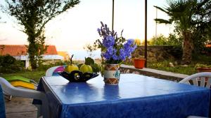 a blue table with a vase of flowers and fruit at Apartman Đina in Risika