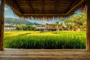 einen Blick aus dem Fenster eines Grasfeldes in der Unterkunft Naina Resort & Spa - SHA Extra Plus in Patong Beach