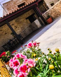 Antonia’s Home Alfa Village في Alfá: حفنة من الزهور الزهرية أمام المبنى