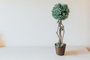 Foto dalla galleria di Magnolia Apartment a Geres