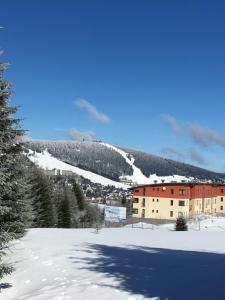 Horský Apartmán Klínovec I v zimě