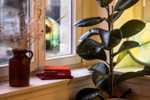 Fotografie z fotogalerie ubytování Casa Hostel Pirna v destinaci Pirna