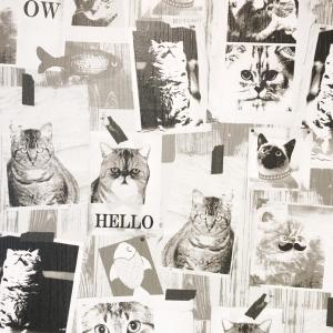 a collage of pictures of cats on a wall at Guest House Fukuoka W101 in Kasuga