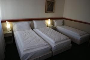 Postel nebo postele na pokoji v ubytování Hotel Bristol