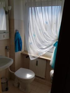 ヴェンデルシュタインにあるGalerie-Apartmentの小さなバスルーム(トイレ、窓付)が備わります。