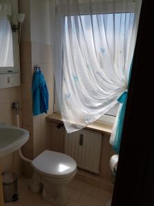 a small bathroom with a toilet and a window at Galerie-Apartment in Wendelstein