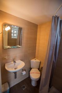 納弗帕克托斯的住宿－尼基酒店，一间带卫生间、水槽和镜子的浴室