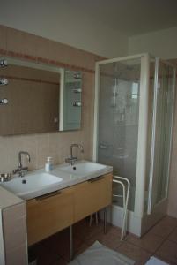 a bathroom with a sink and a shower with a mirror at Le Clos des Tanneurs in Taponas