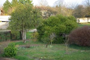 Jardín al aire libre en Le Clos des Tanneurs