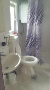 ein Badezimmer mit Toilette und Waschbecken in der Unterkunft Vila Nera in Zaboric + 26 Fotos