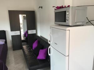 ein Wohnzimmer mit einer Mikrowelle auf einem Kühlschrank in der Unterkunft Vila Nera in Zaboric