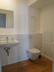 La salle de bains est pourvue de toilettes et d'un lavabo. dans l'établissement Altstadtwohnung "Klein Venedig", à Fribourg-en-Brisgau