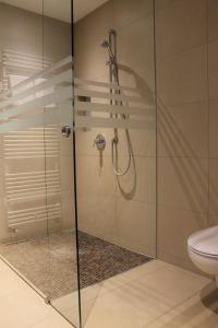 uma casa de banho com uma cabina de duche em vidro e um WC. em Hotel Salinensee em Bad Dürrheim
