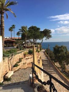 VillacostaにあるCarolinas aptmt Orihuelaの椰子の木が茂る海の横の歩道