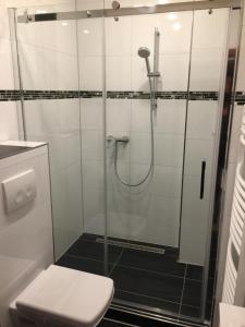 een badkamer met een glazen douche en een toilet bij Wagner Ferien Apartments in Essen