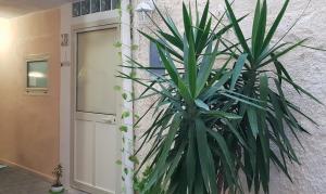 Fotografia z galérie ubytovania Room Calafatari v destinácii Siracusa
