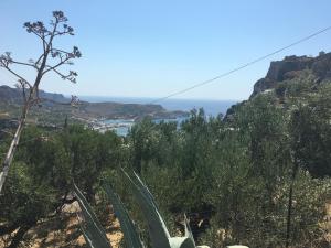 a view of the ocean from a hill with a cactus at Belvedere Studios in Kýthira